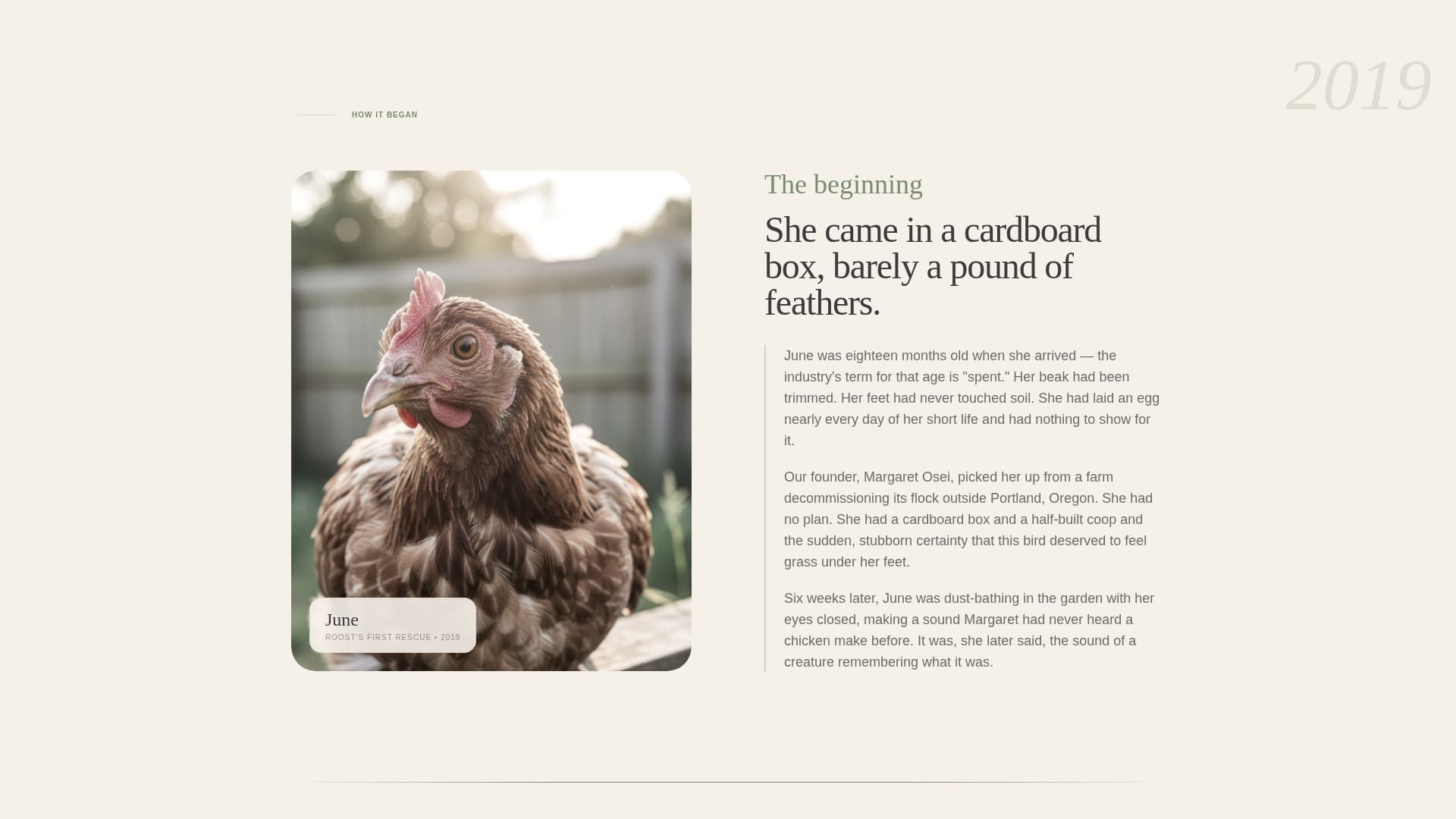Chicken & Poultry Specialist Professional Website Template