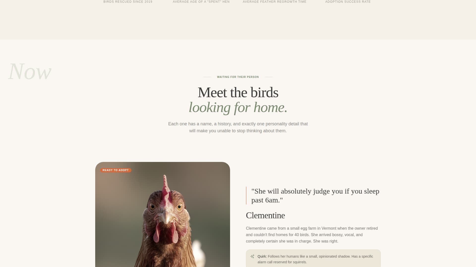 Chicken & Poultry Specialist Professional Website Template