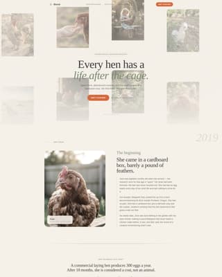 Chicken & Poultry Specialist Professional Website Template