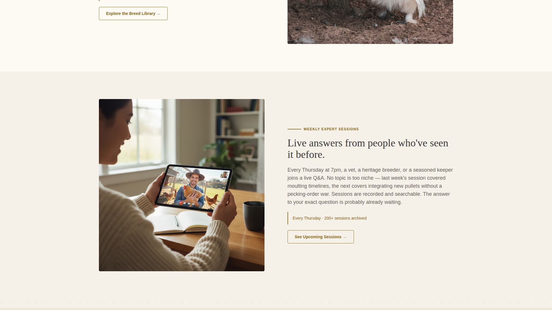 Roost - Thriving Poultry Landing Page Template