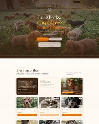Dog Booking Website Template