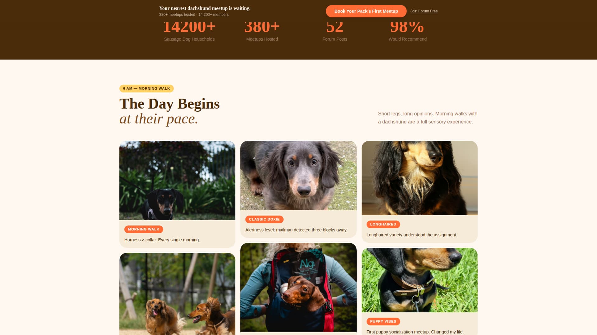 Dog Professional Website Template