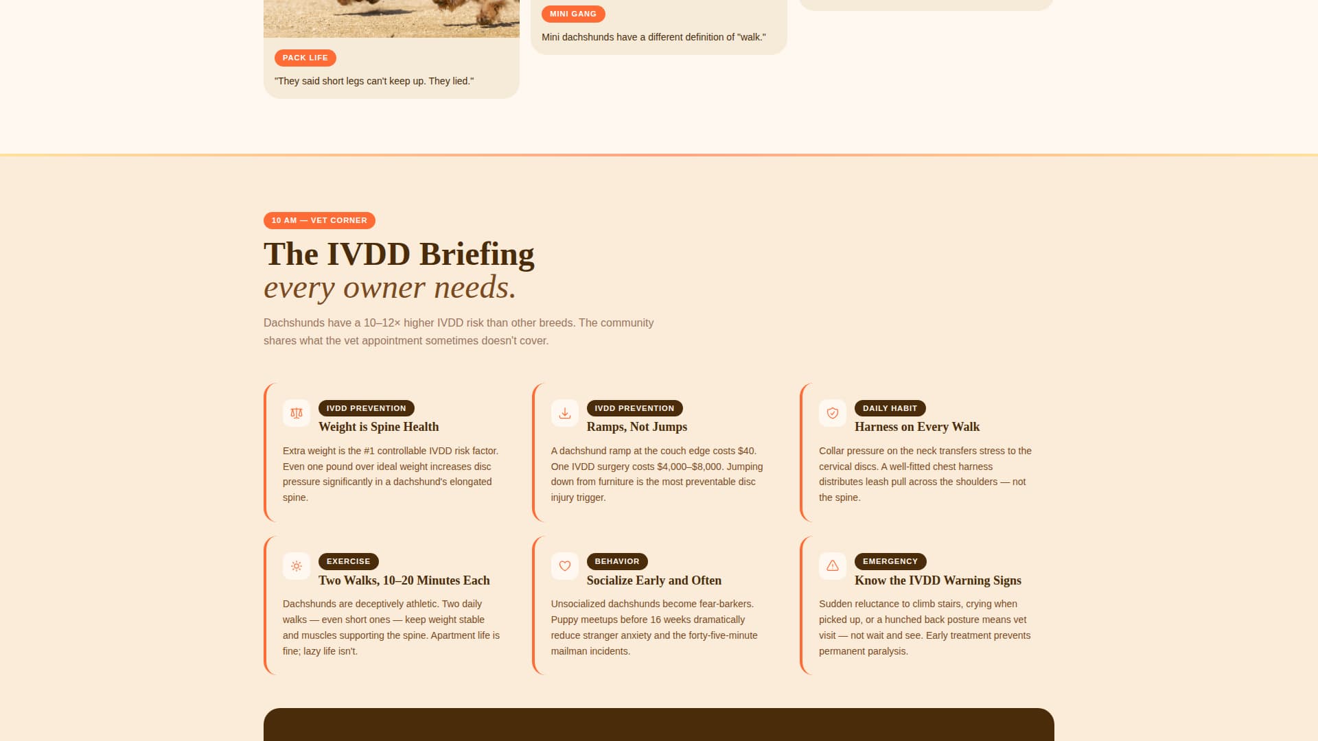 Dog Professional Website Template