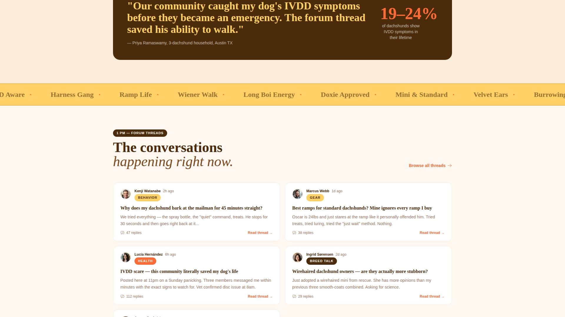 Dog Professional Website Template