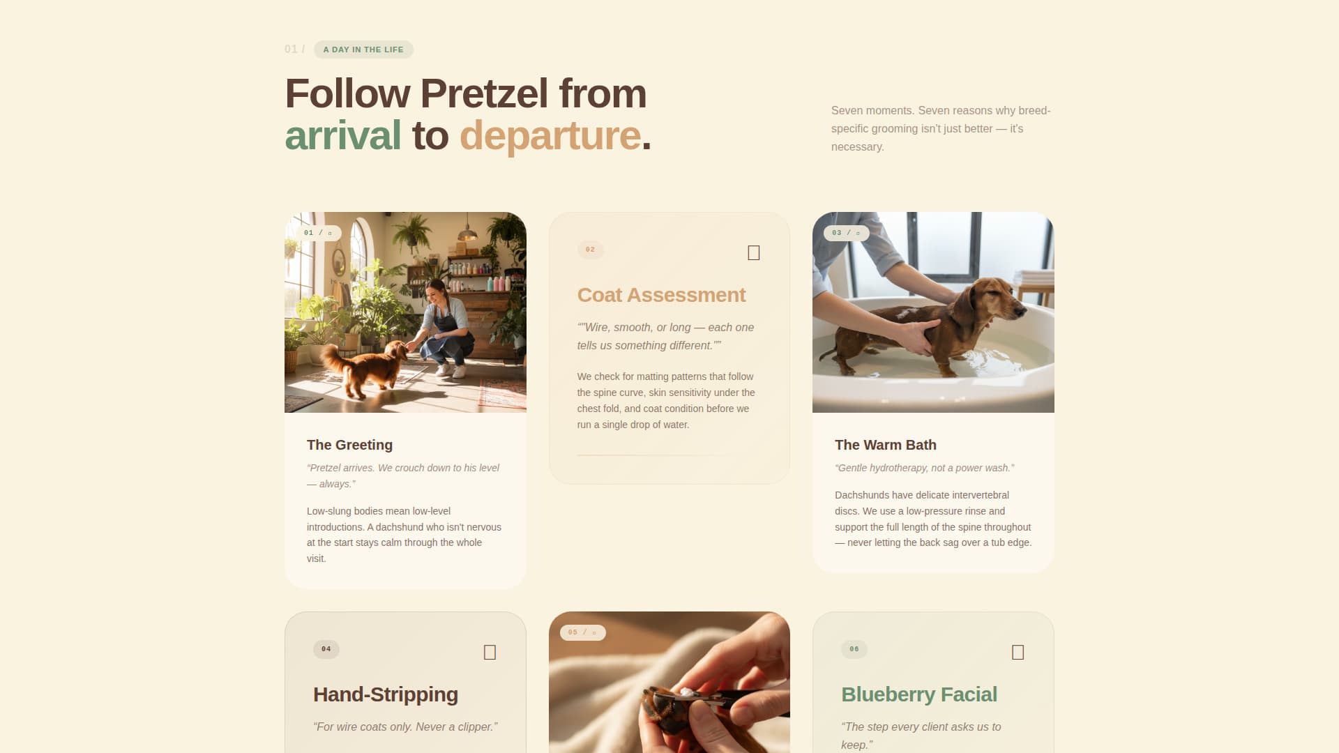 Dog Booking Website Template