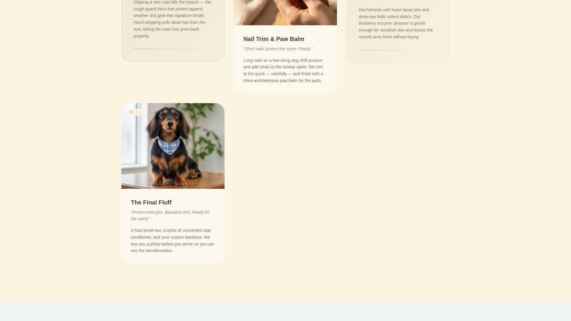 Dog Booking Website Template