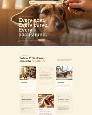 Dog Booking Website Template