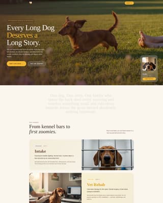 Burrow - Heartwarming Rescue Landing Page Template
