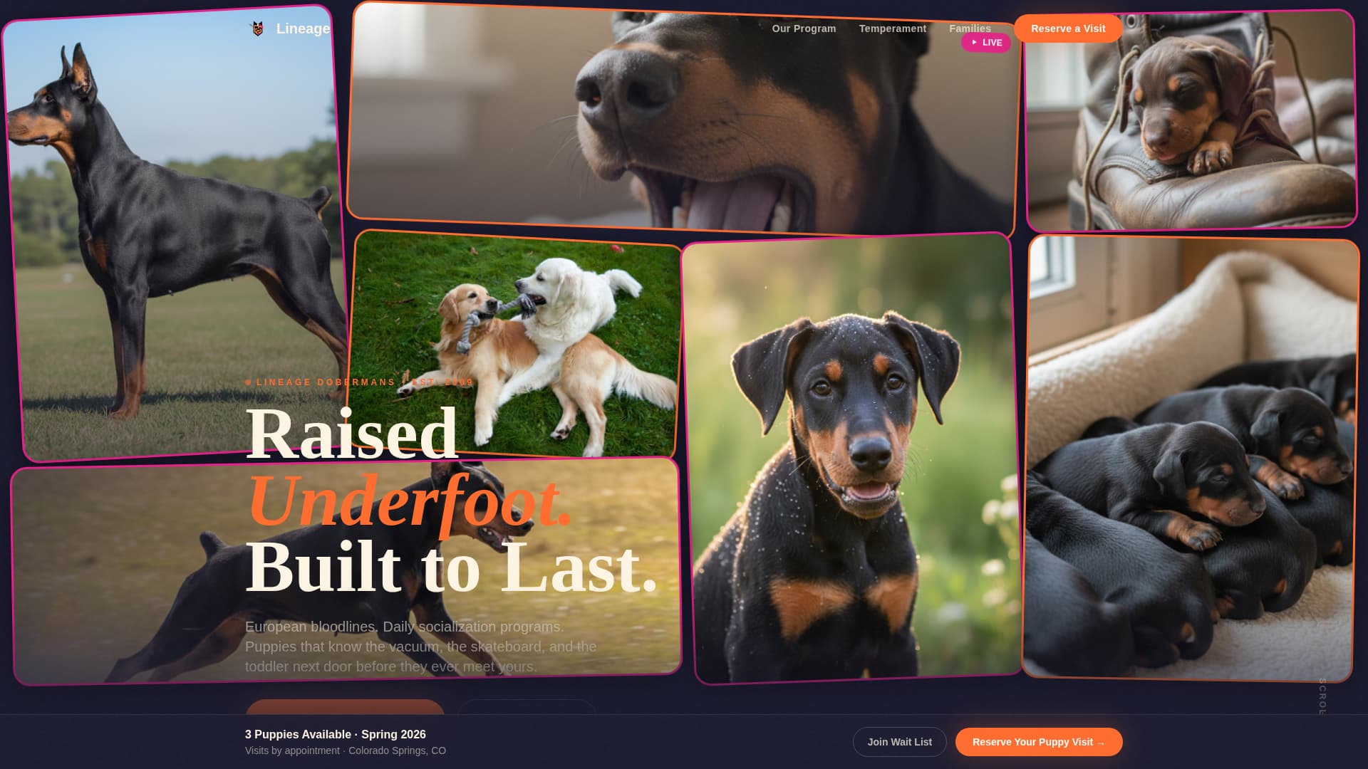 Doberman Booking Website Template