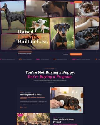 Doberman Booking Website Template