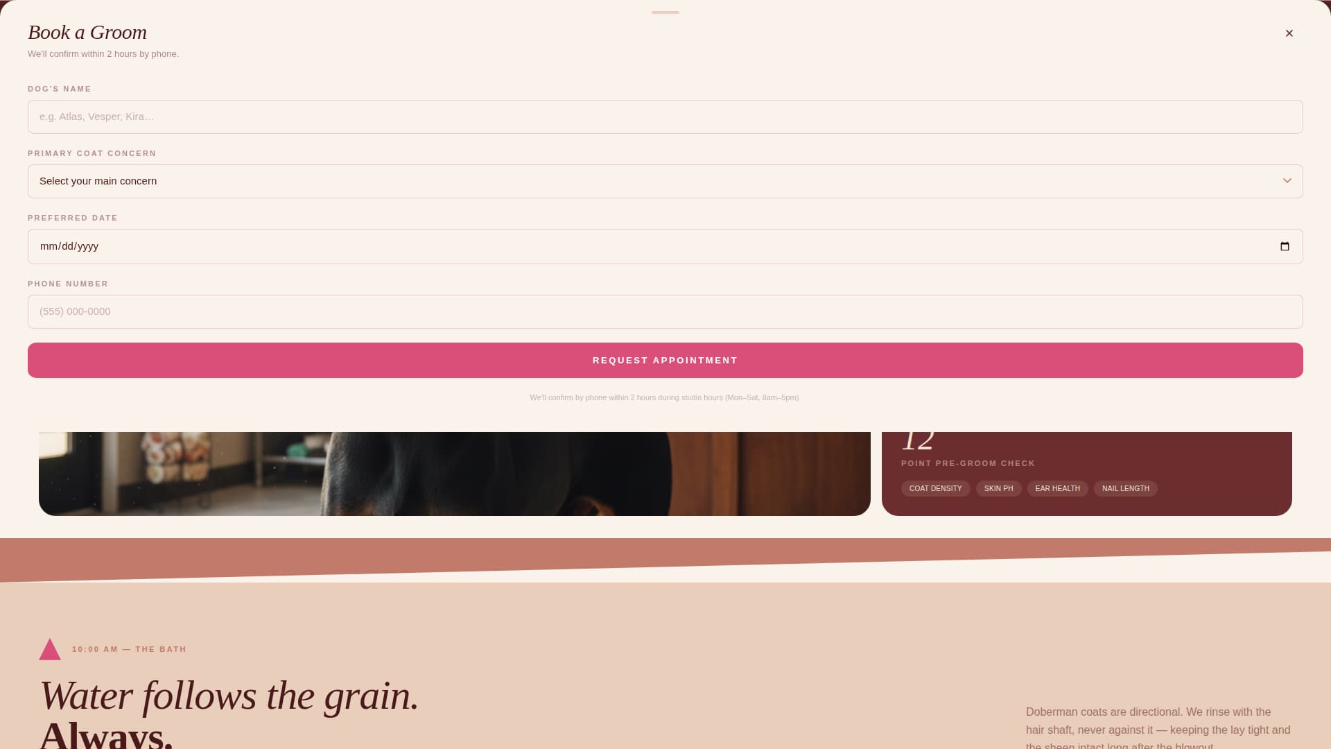 Doberman Specialist Booking Website Template