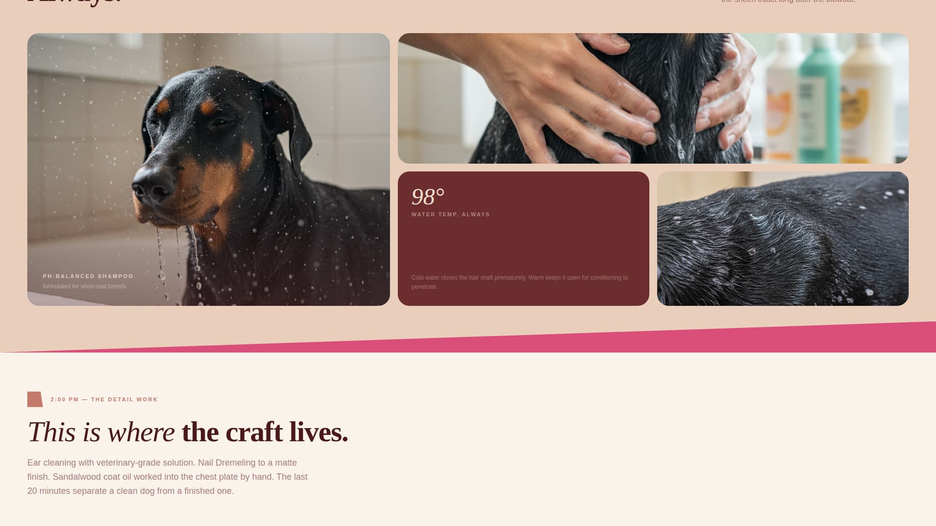 Doberman Specialist Booking Website Template