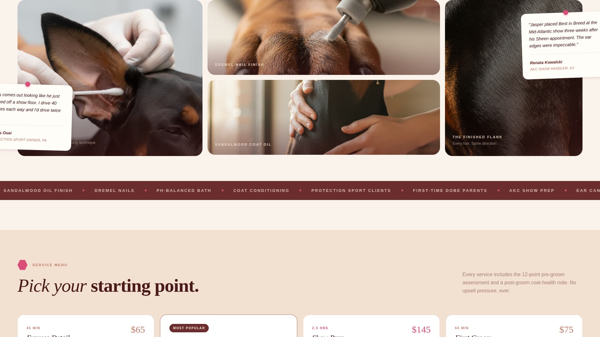 Doberman Specialist Booking Website Template