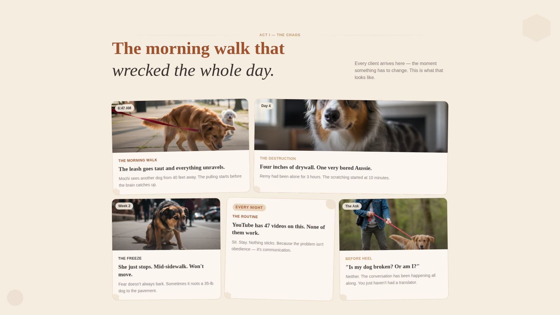 Dog Pricing Website Template