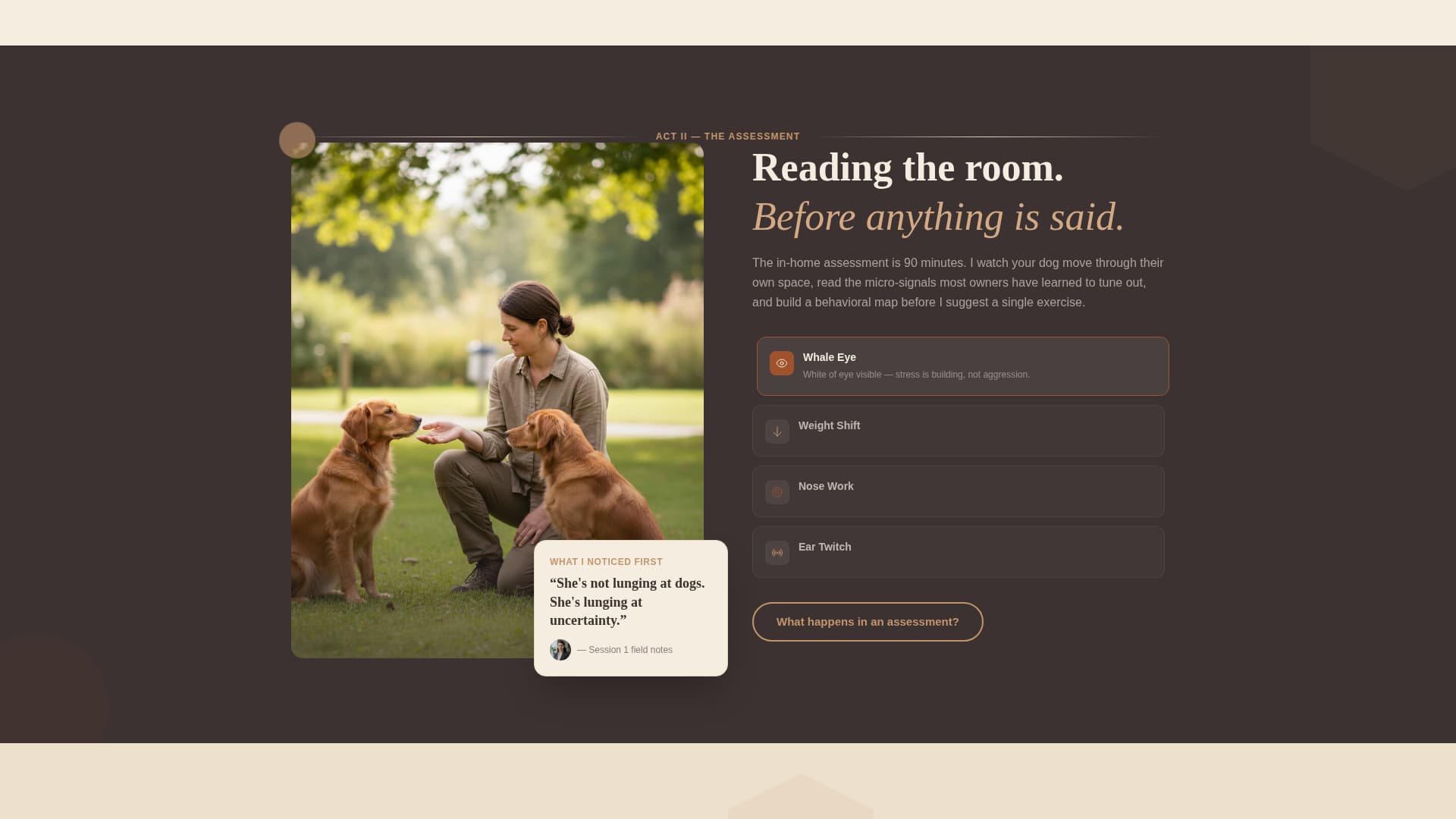 Dog Pricing Website Template