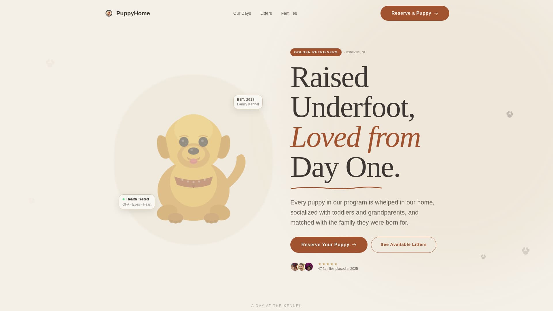 Dog Complete Professional Website Template