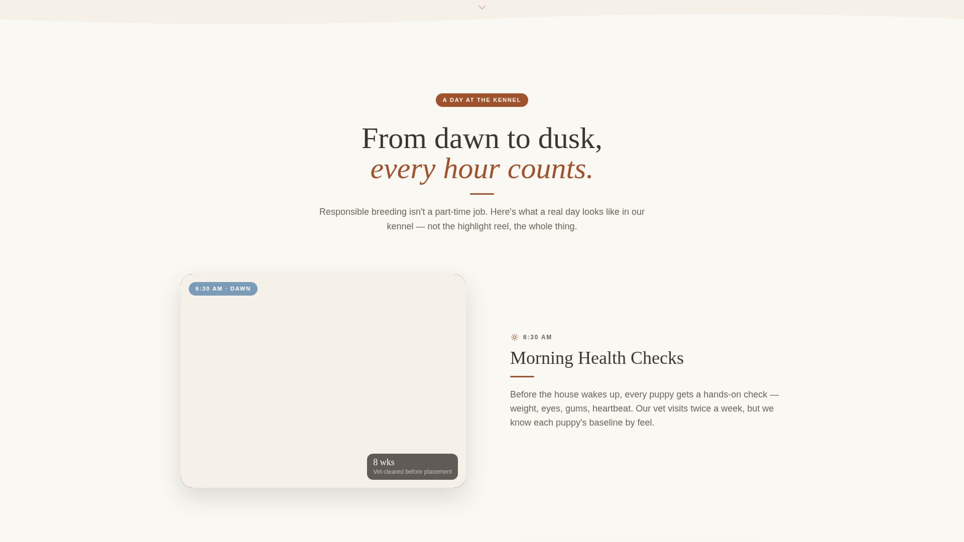 Dog Complete Professional Website Template
