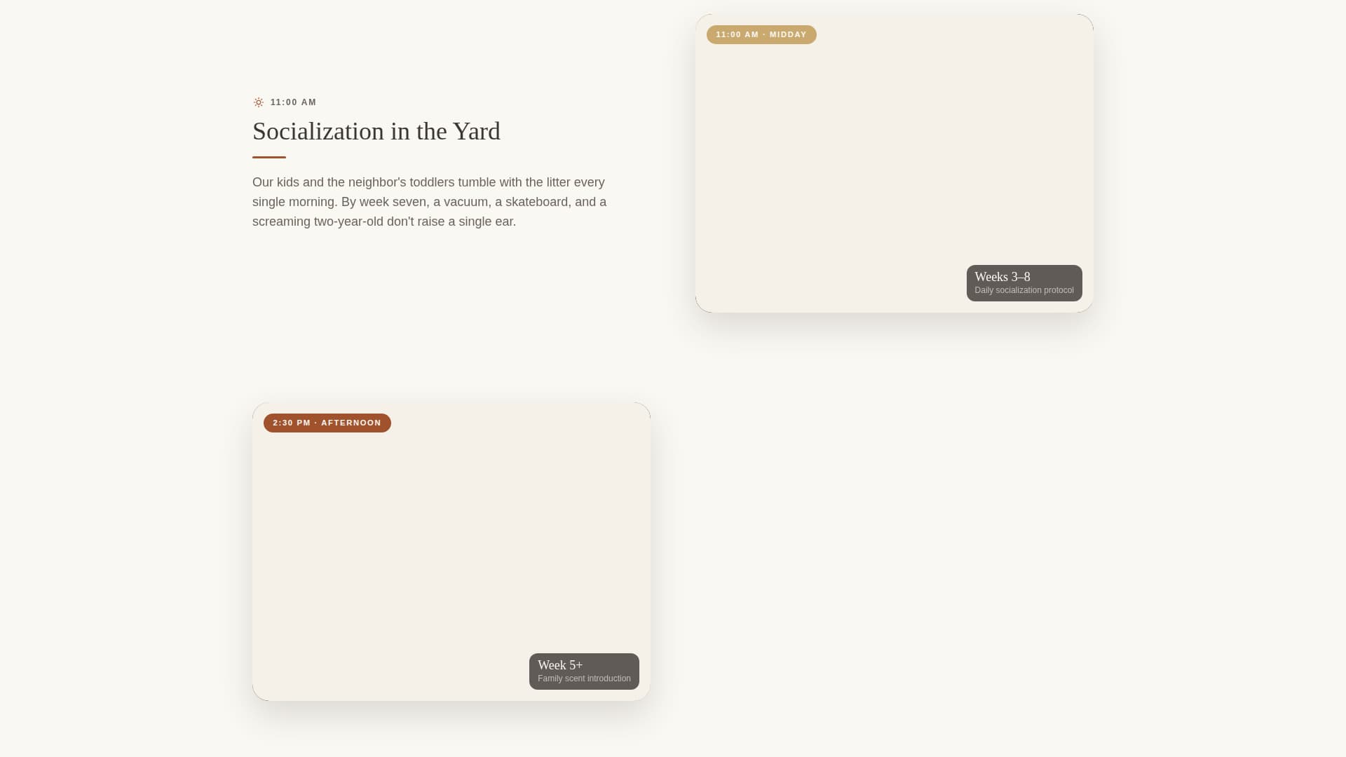 Dog Complete Professional Website Template
