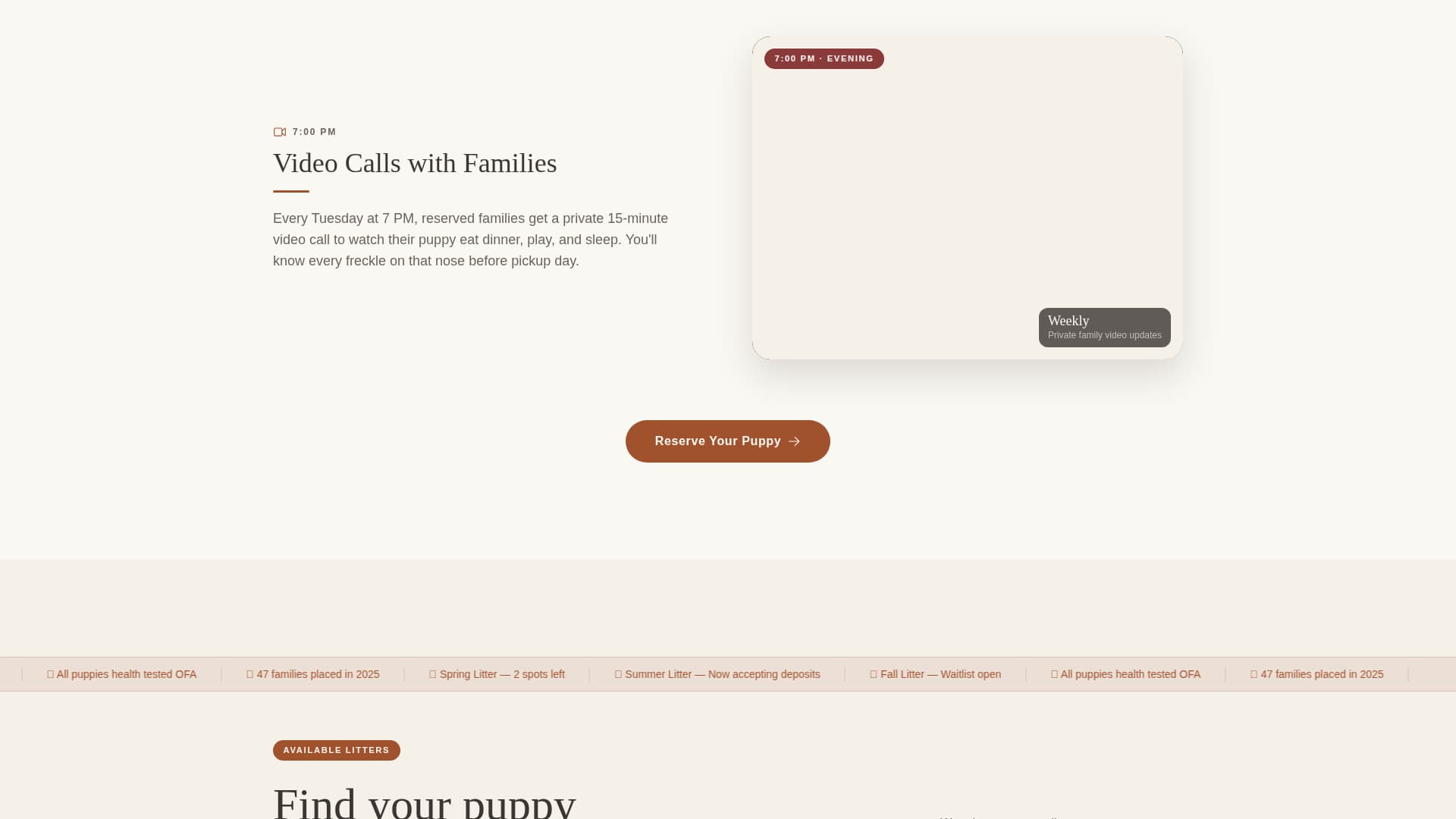 Dog Complete Professional Website Template