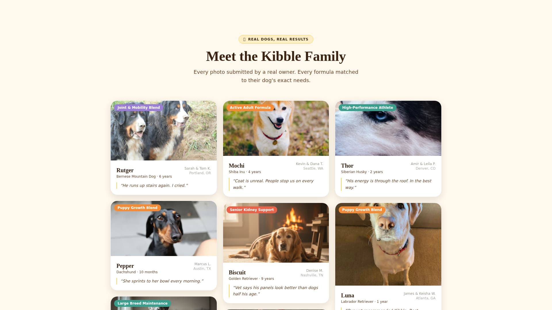 Dog Booking Website Template