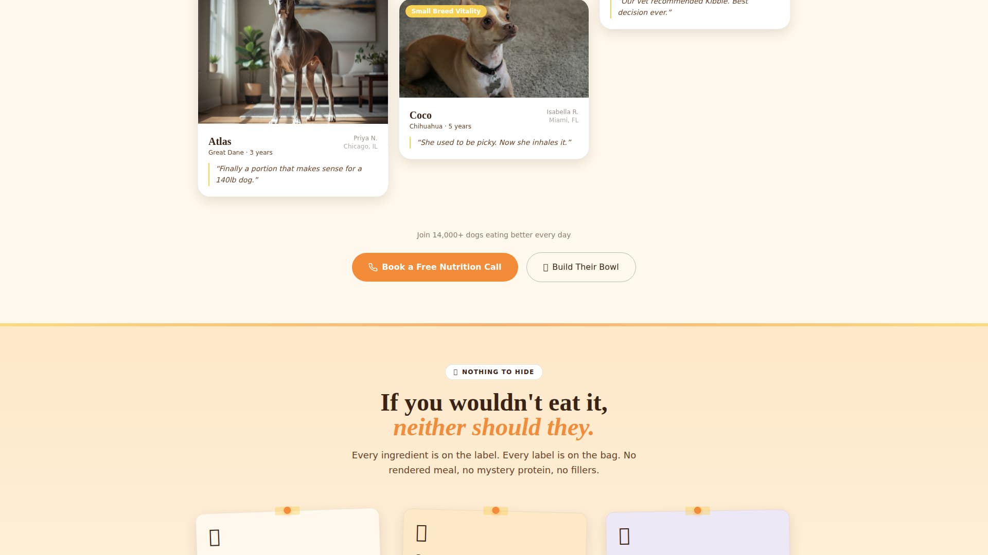 Dog Booking Website Template