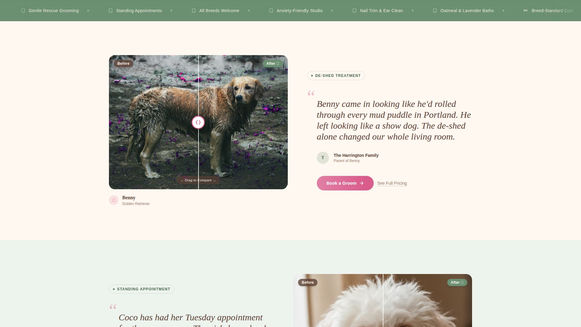 Dog Booking Website Template