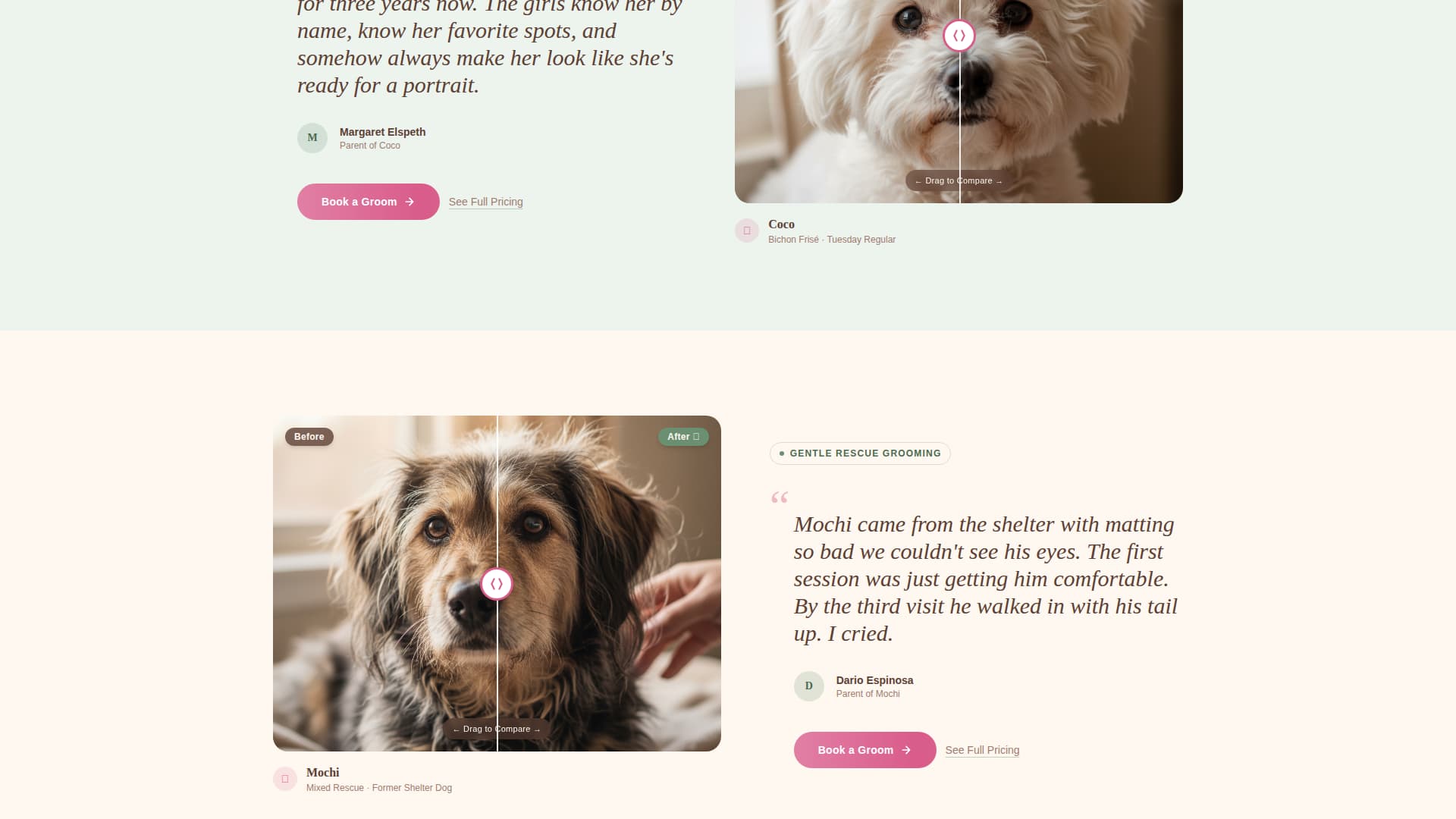 Dog Booking Website Template
