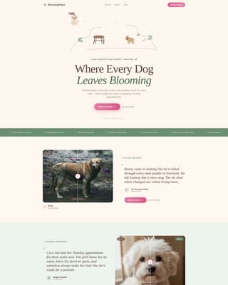 Dog Booking Website Template