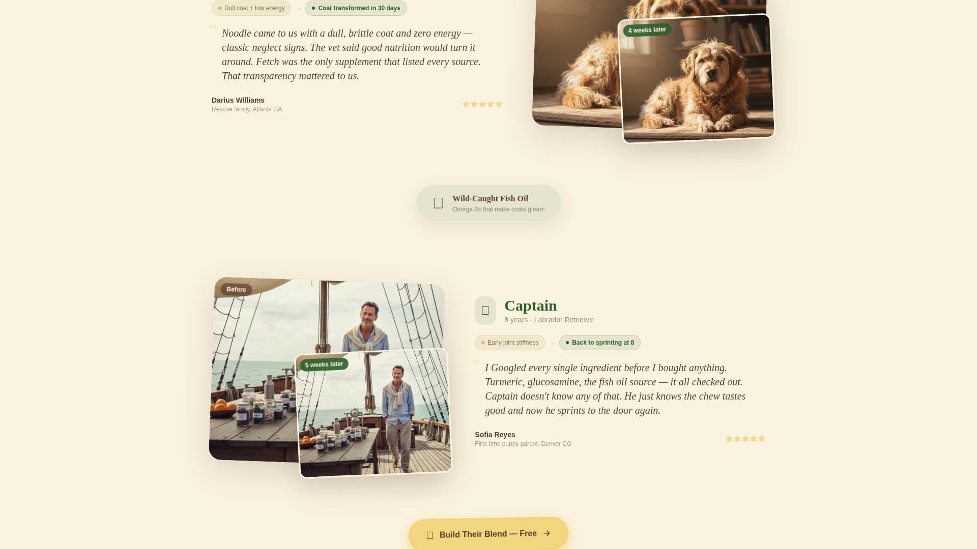 Dog Education Website Template