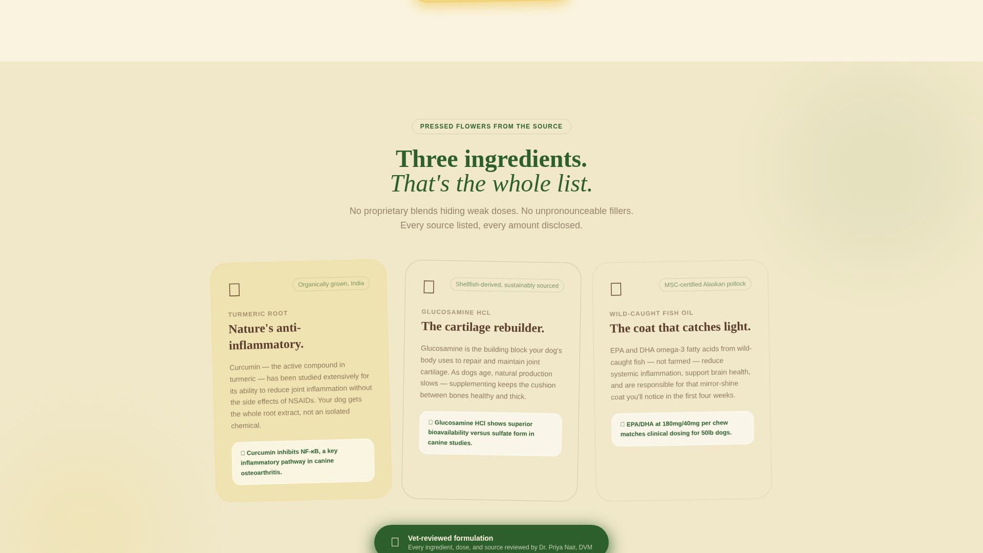 Dog Education Website Template
