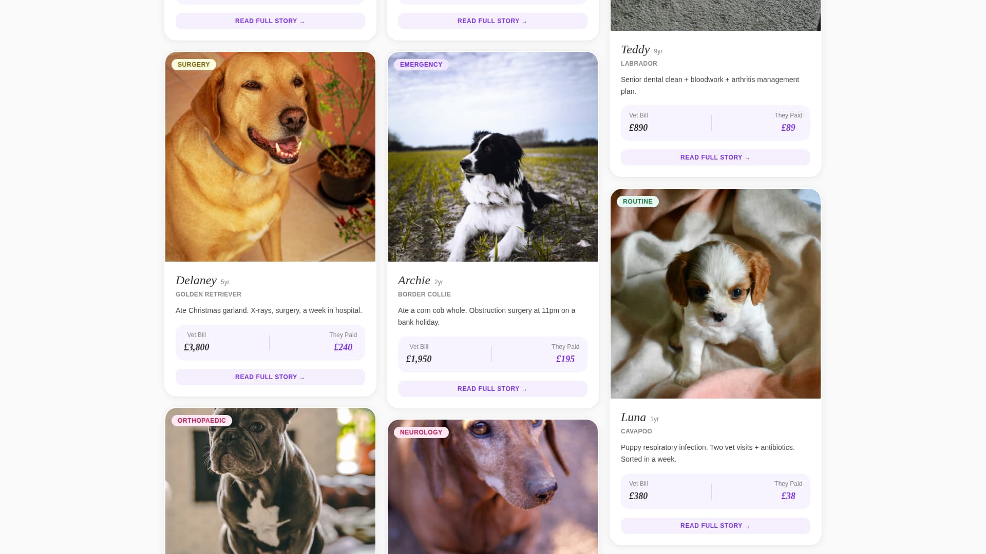 Dog Advanced Professional Website Template