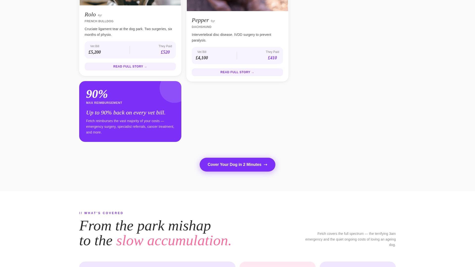 Dog Advanced Professional Website Template