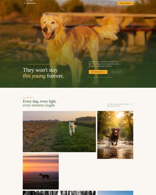 Dog Booking Website Template