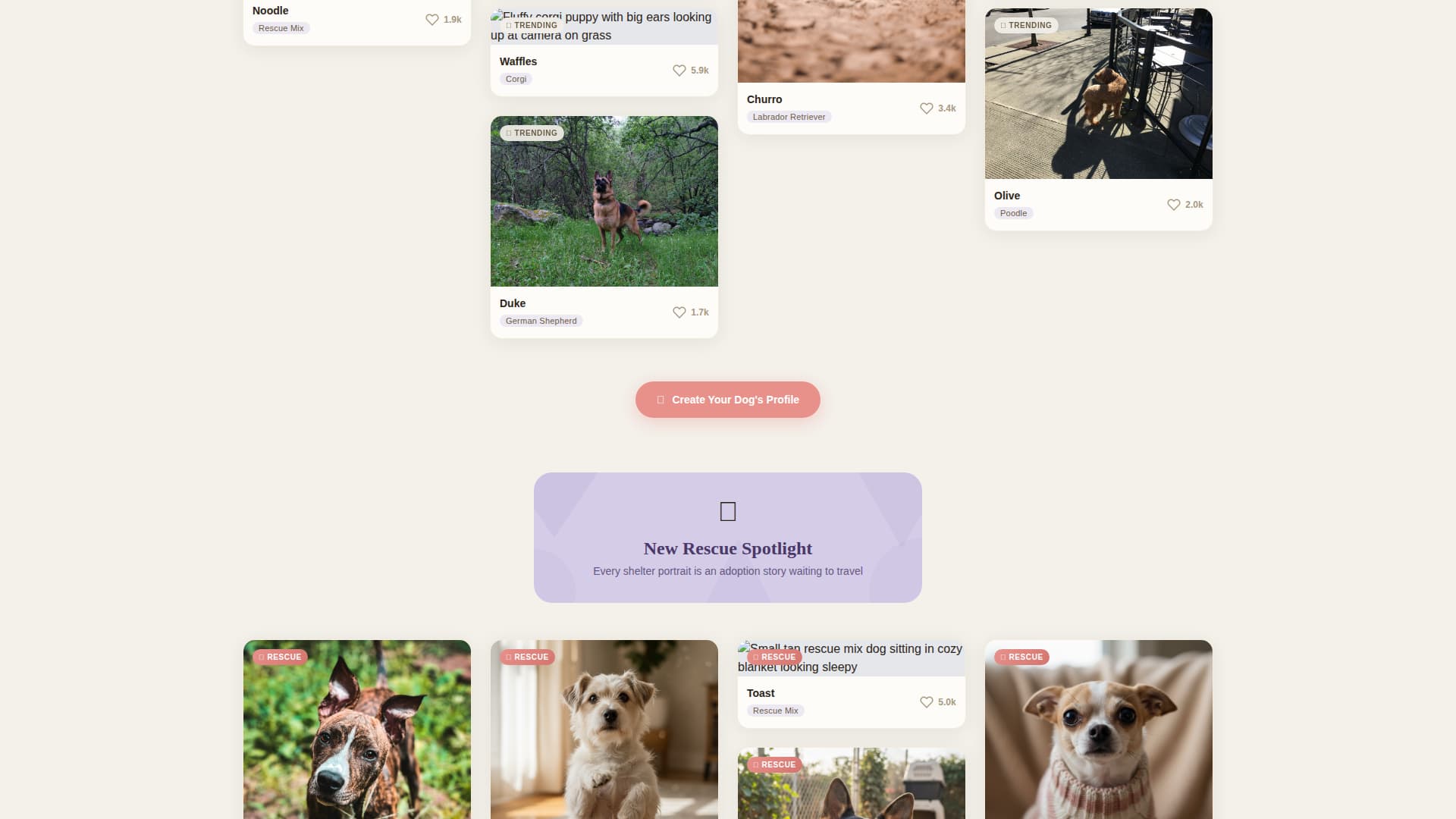 Dog Professional Website Template