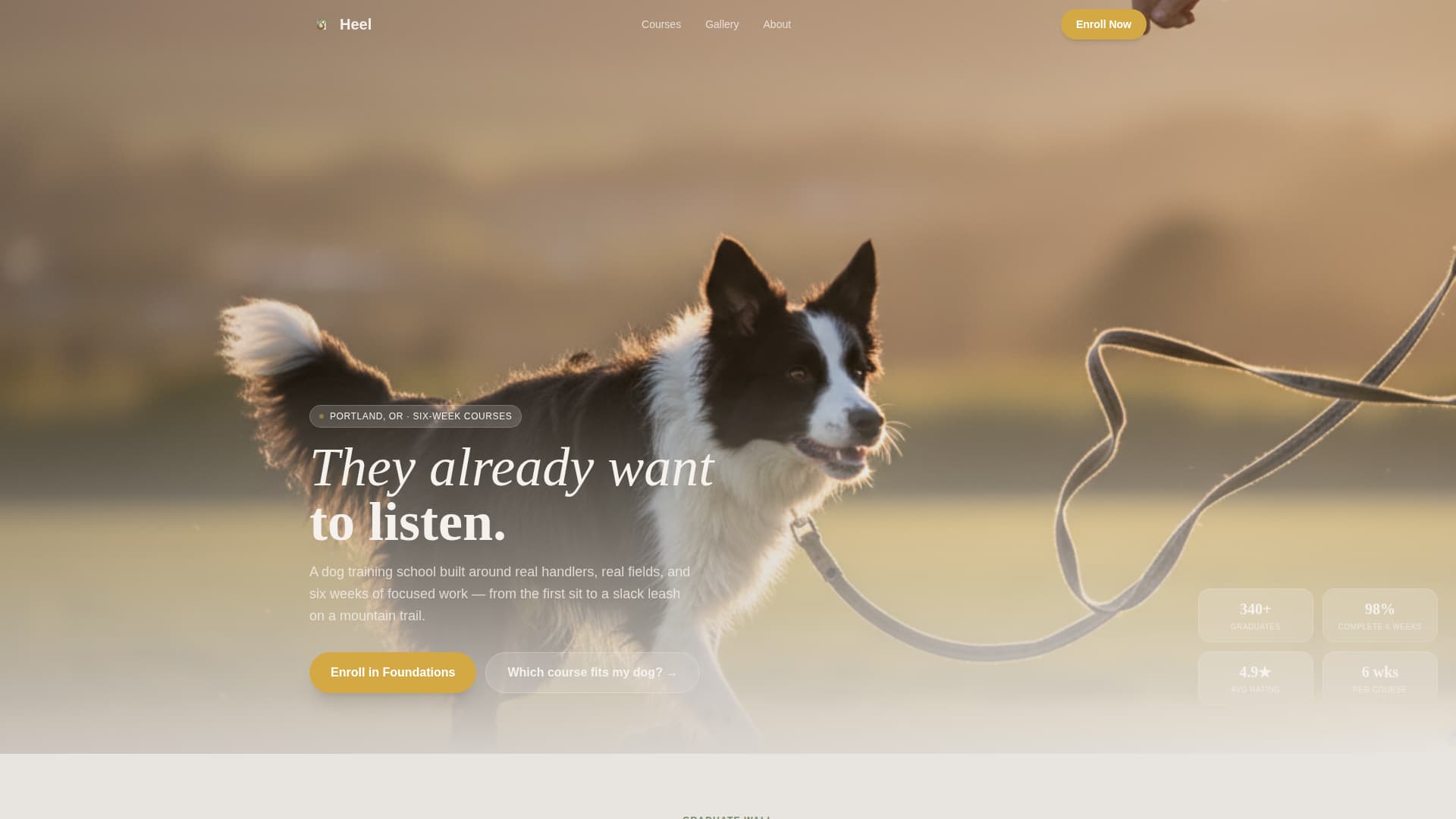 Dog Specialist Professional Website Template