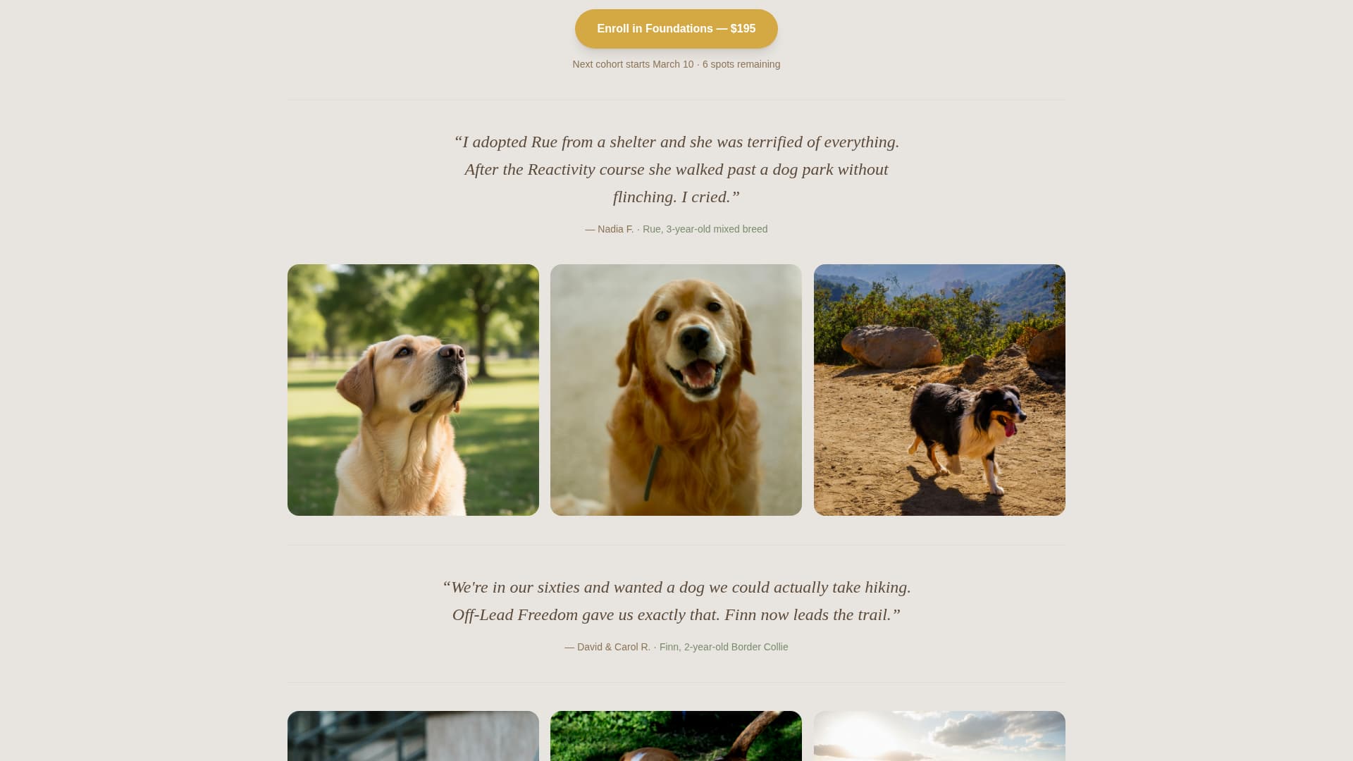 Dog Specialist Professional Website Template