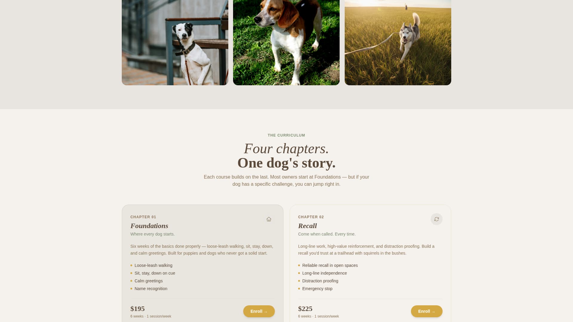 Dog Specialist Professional Website Template