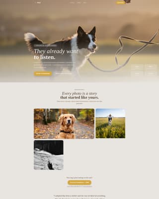 Dog Specialist Professional Website Template