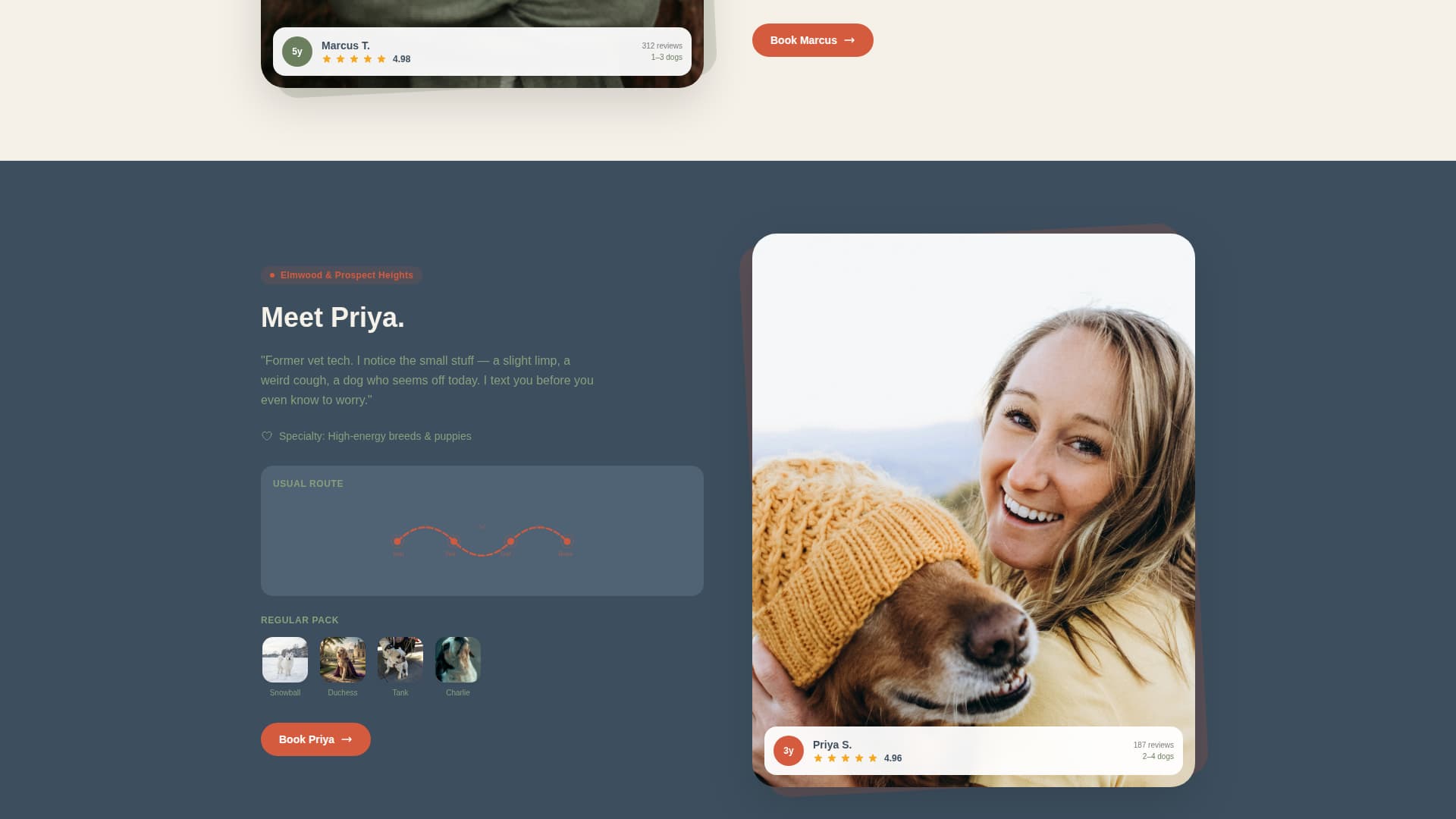 Dog Walking & Pet Sitting Professional Website Template