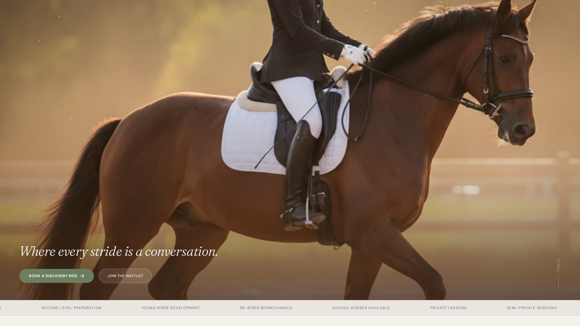 Horse & Equestrian Booking Website Template