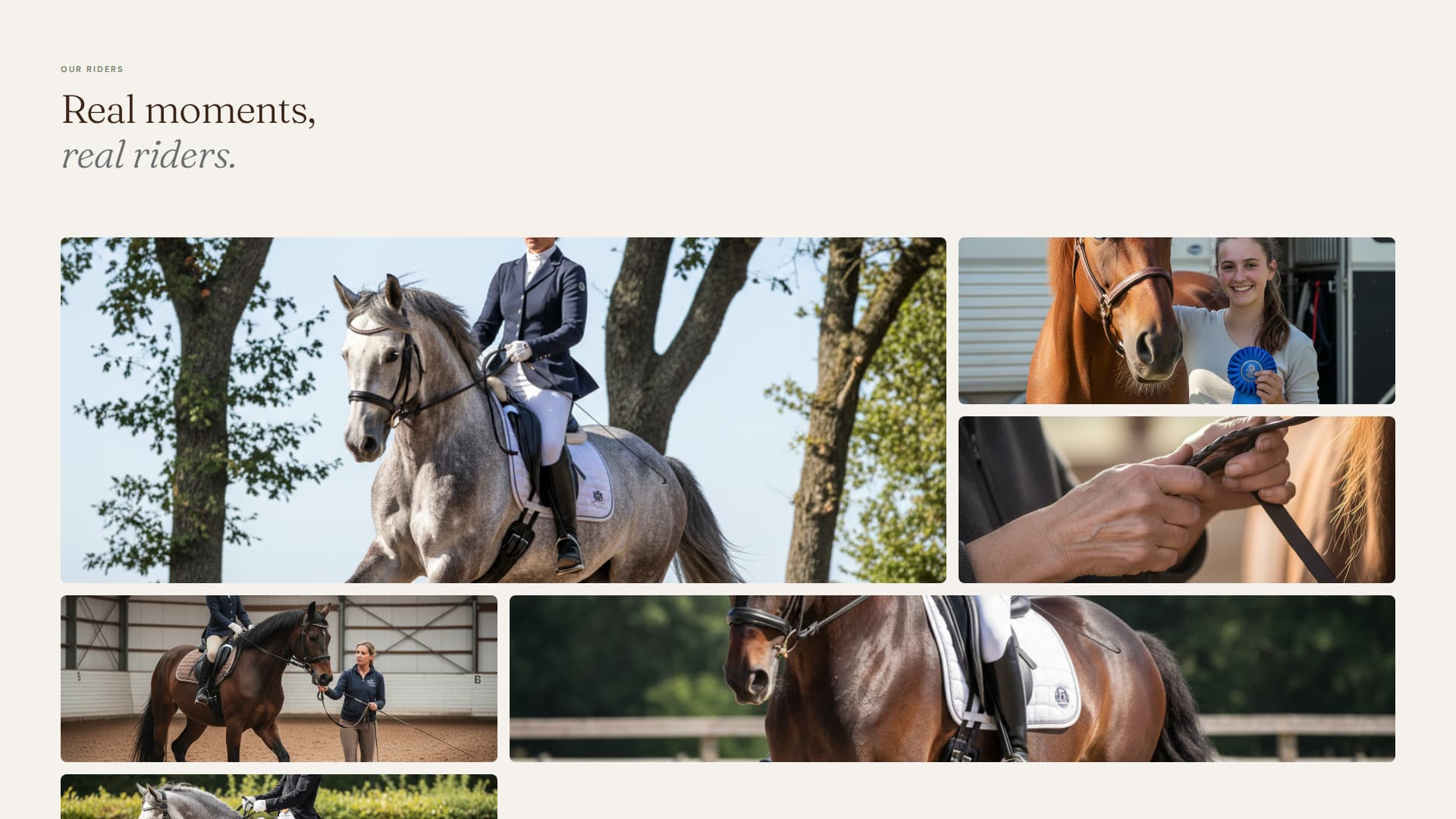 Horse & Equestrian Booking Website Template