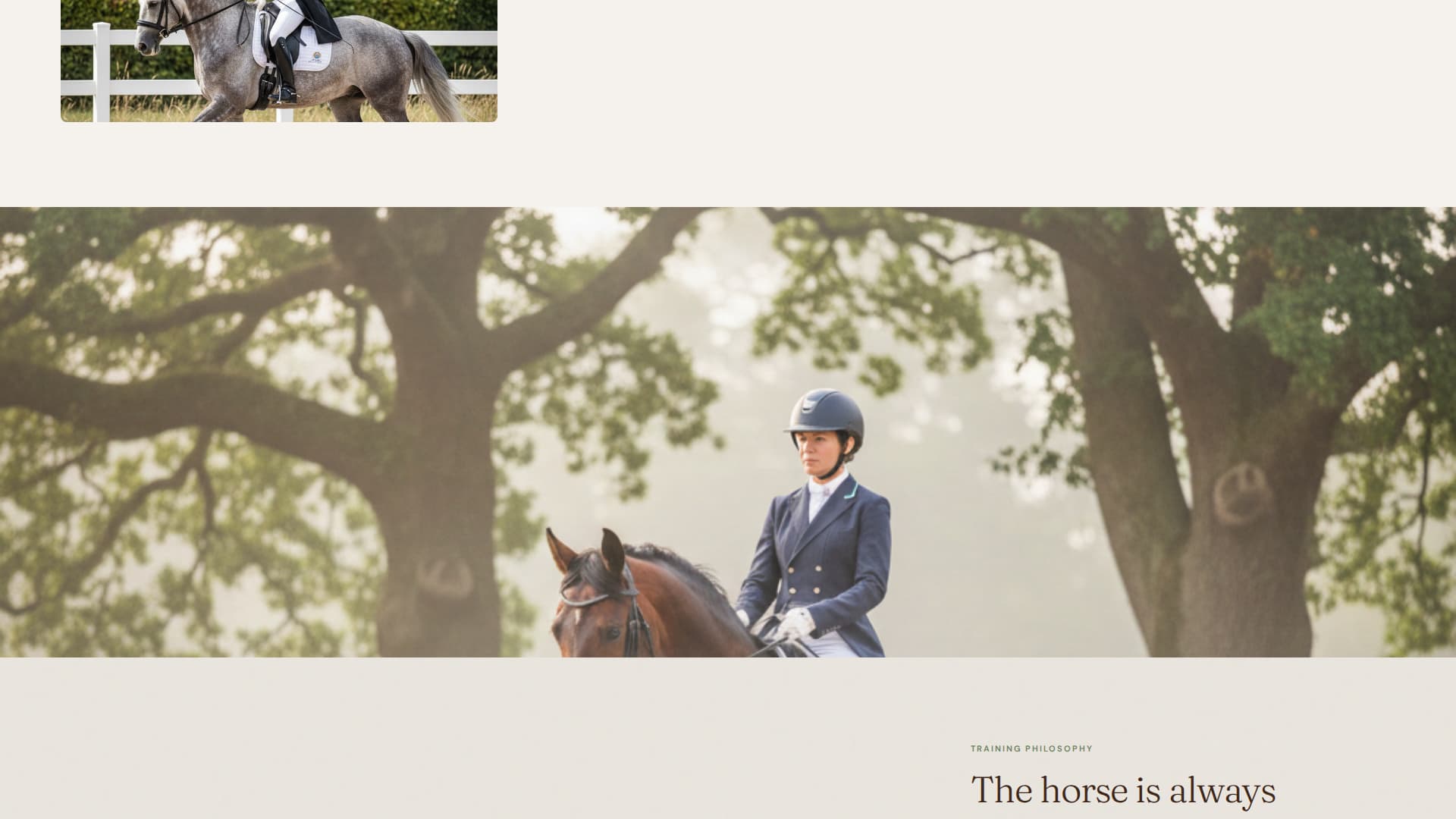 Horse & Equestrian Booking Website Template