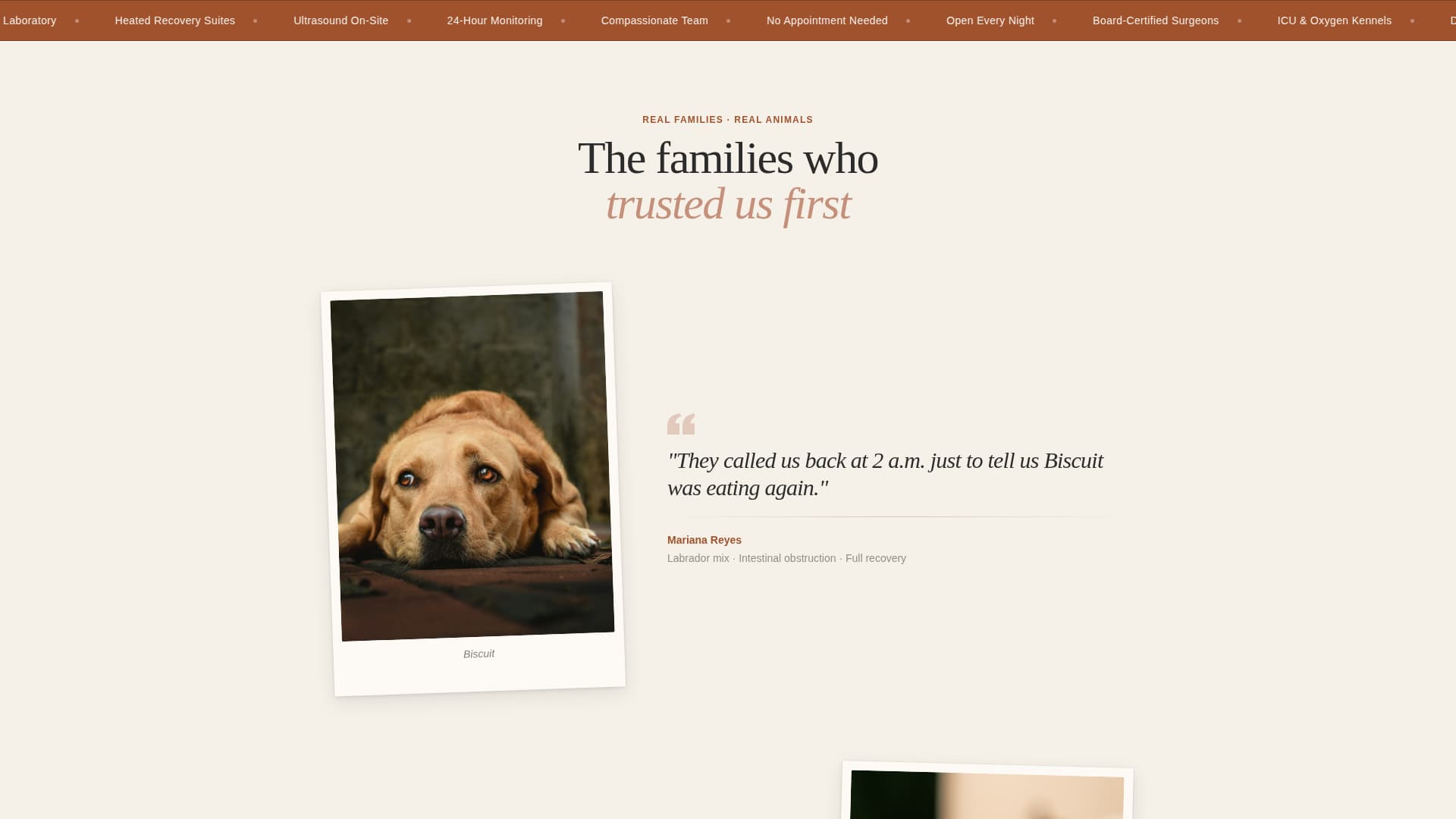 Triage - Trusted Emergencyvet Landing Page Template
