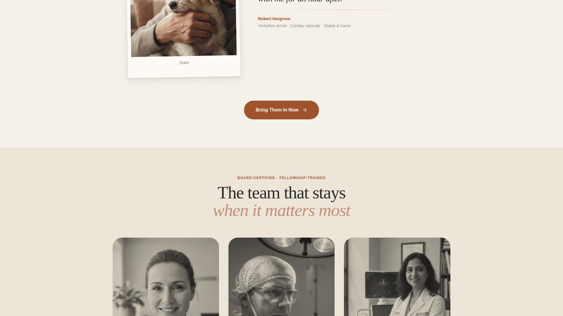 Triage - Trusted Emergencyvet Landing Page Template
