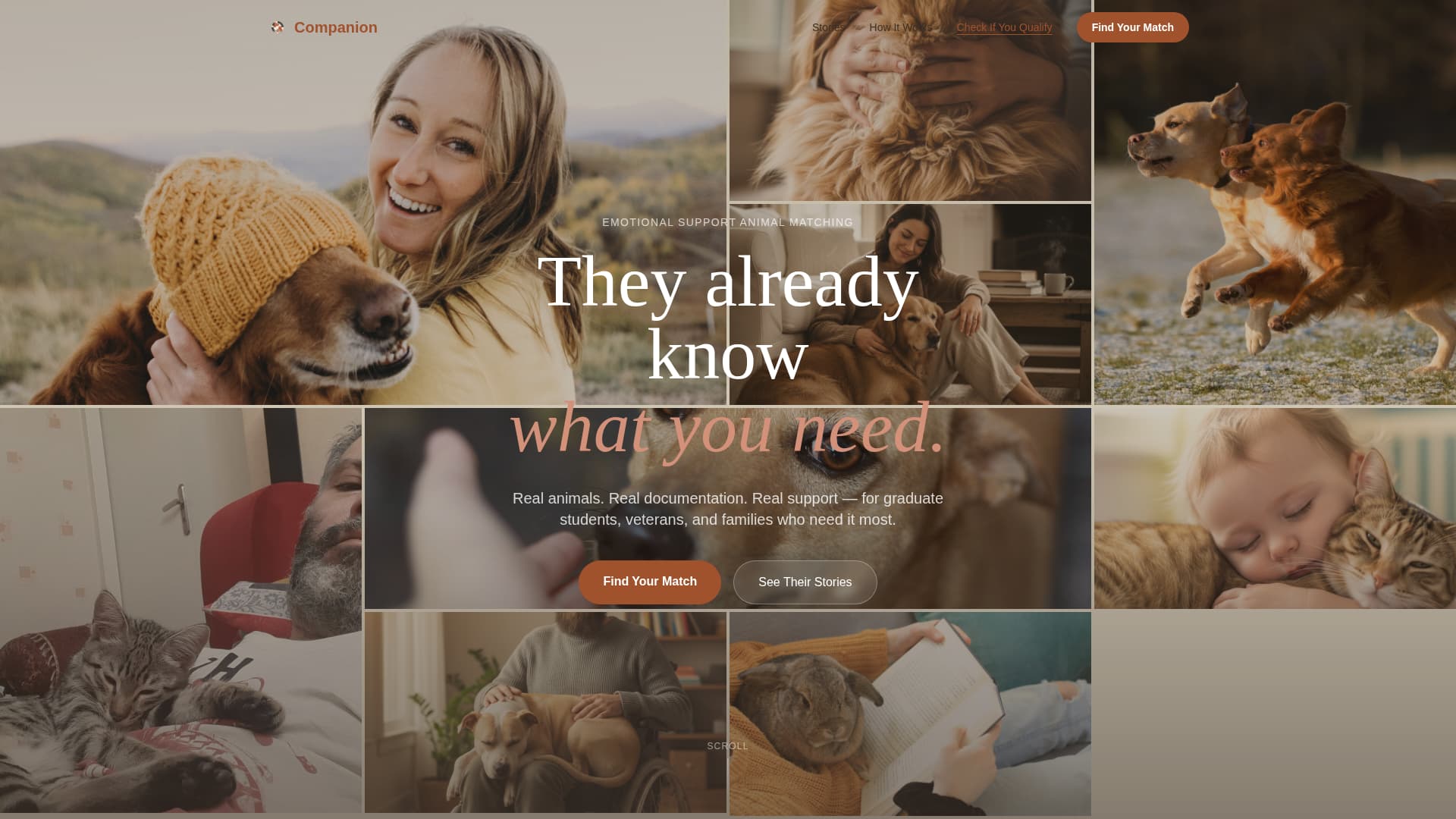 Animal Therapy & Professional Website Template