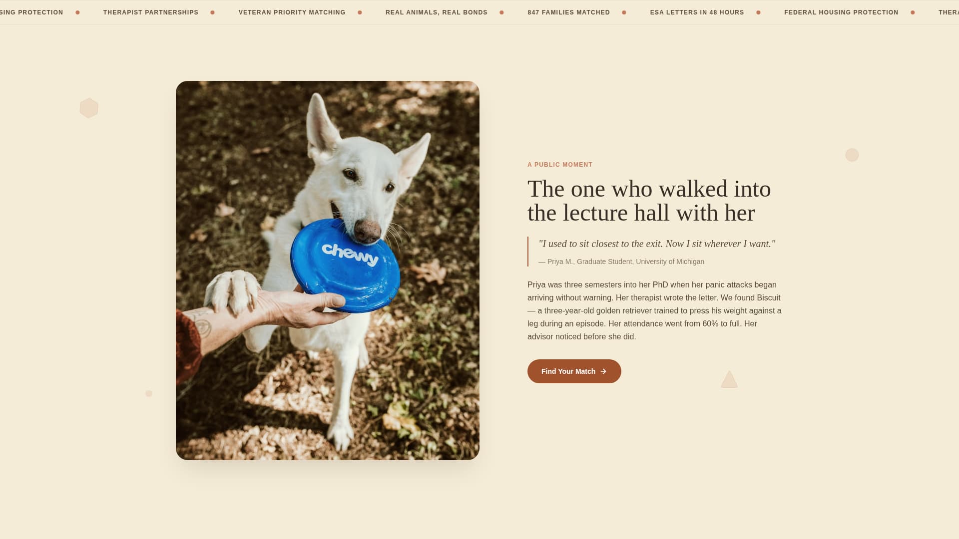 Animal Therapy & Professional Website Template