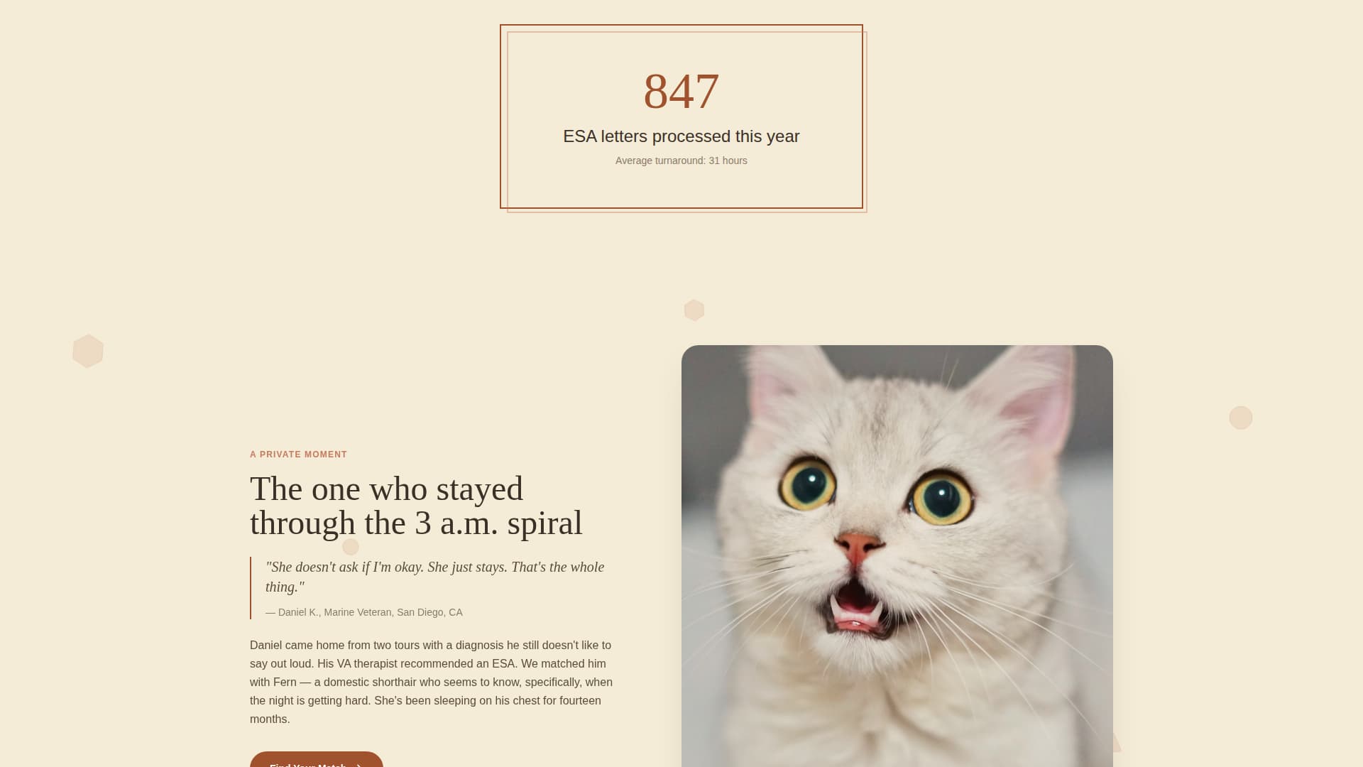 Animal Therapy & Professional Website Template