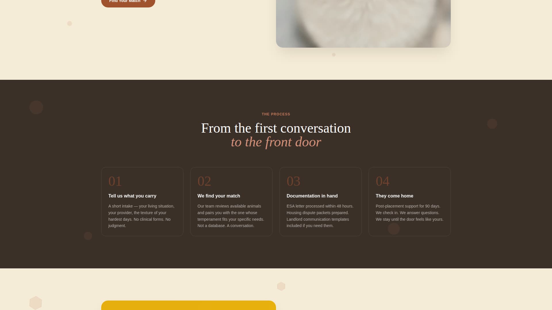Animal Therapy & Professional Website Template