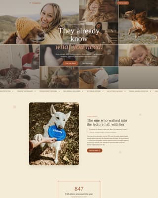 Animal Therapy & Professional Website Template