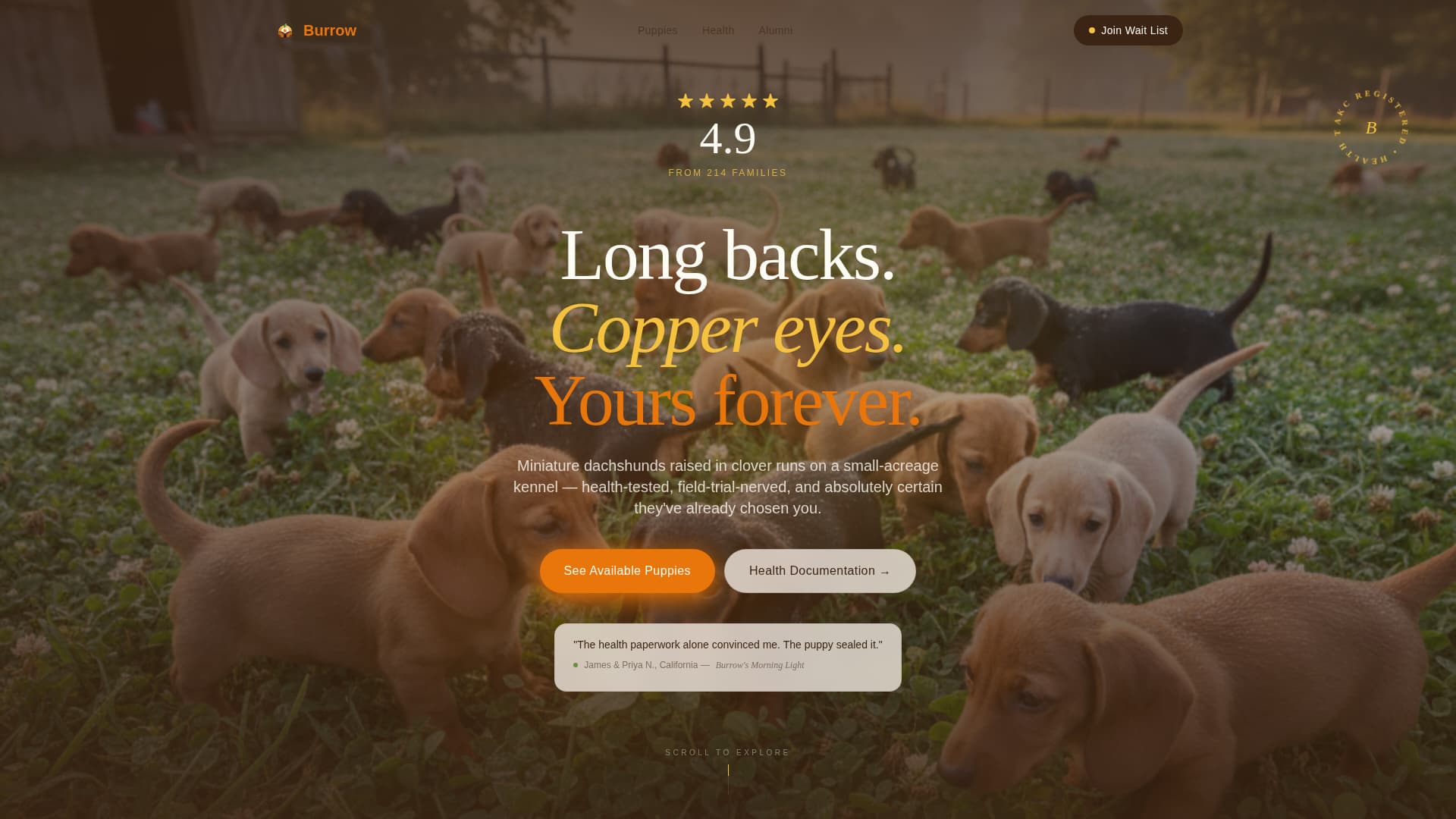 Canter - Vibrant Equine Landing Page Template